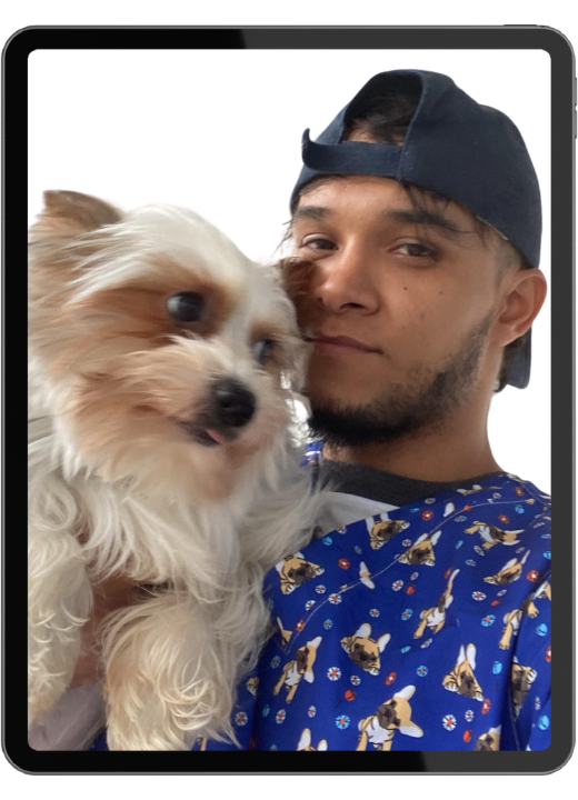 education online books